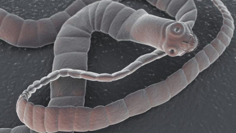 parasites dans le corps