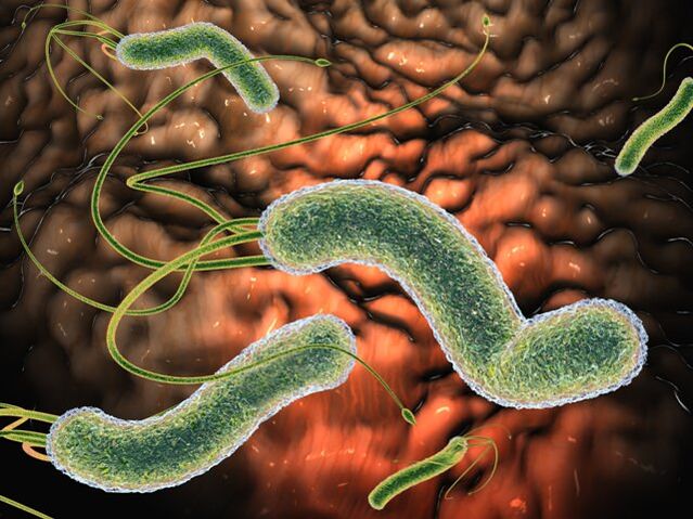 Parasites nuisibles au corps humain